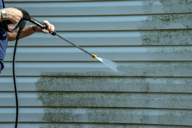 Best Gutter Cleaning  in Mcgraw, NY